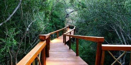 Lion Tree Top Lodge Hoedspruit Exterior foto